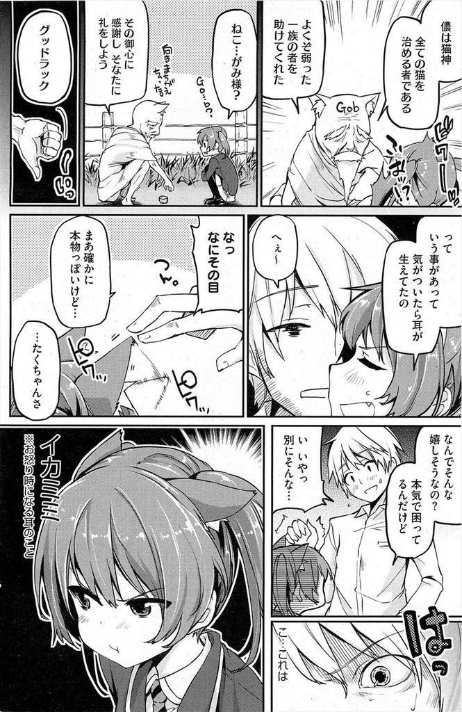 【エロ漫画】【エロ漫画】猫を助けたら耳と尻尾が生えて猫化してしまった貧乳JKの彼女…幼馴染の彼にまたたびで発情させられ我慢できずにチンコをしゃぶっていちゃラブ中出しセックス【アズマサワヨシ:ねこつき】