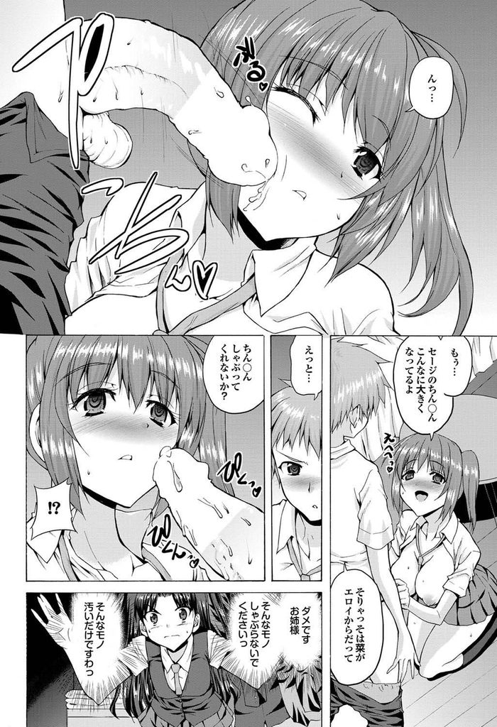 【エロ漫画】【エロ漫画】(2/4話)お姉ちゃんに彼氏ができてしまい部屋に忍び込む妹JK…姉が彼氏と帰宅しクローゼットに隠れているとセックスし始めてしまい自分も中でオナニーする【武内一真:とらいあんぐるH／中編】