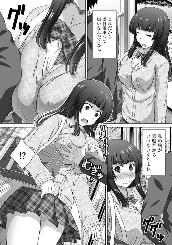 【エロ漫画】【エロ漫画】掲示板に書いた女と間違えられて痴漢される巨乳JK…満員電車でおっぱいが当たってそのまま揉みしだかれ、逃げれずチンポを素股されそのままバックで処女喪失。何度もイキまくり周りにいた男達も乱入して輪姦セックス【鷹那優輝：巨乳JK痴漢電車もう逃げられない】